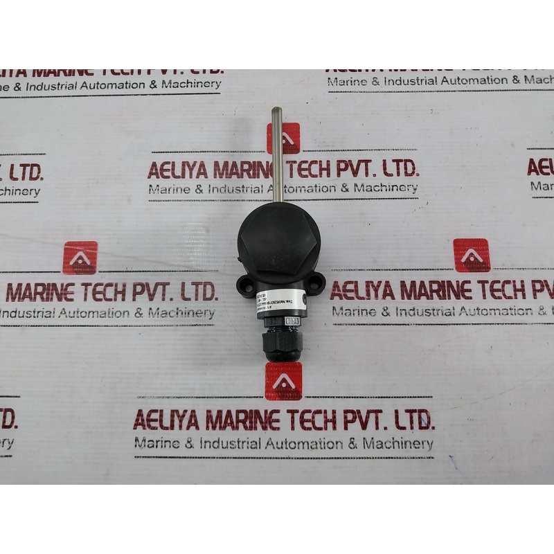 06293190944327310 Two-wire Temperature Probe With Ip68 Enclosure